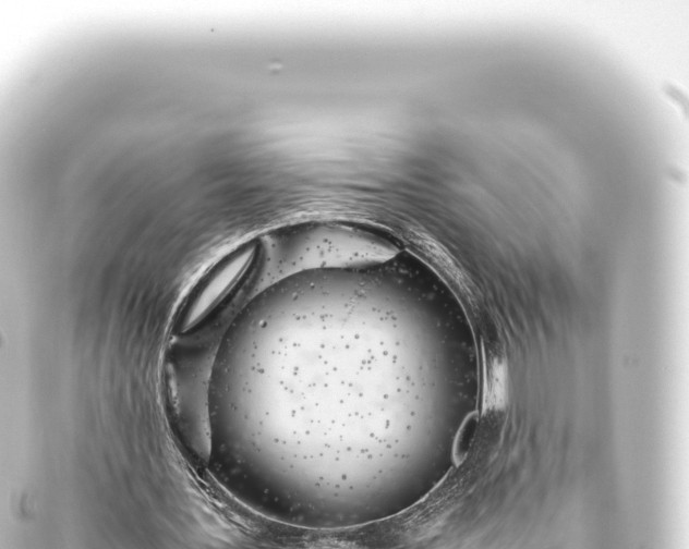 X0000093770387200710301210