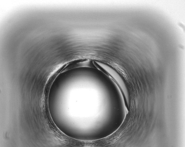 X0000093770388200710301210