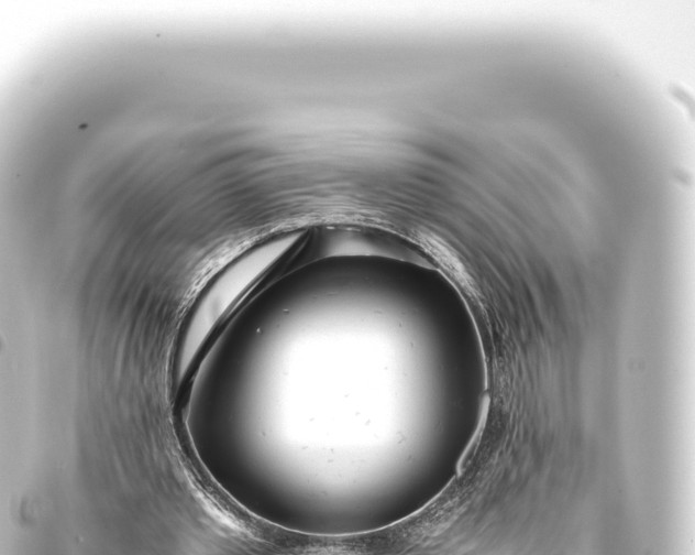 X0000093770389200710301210