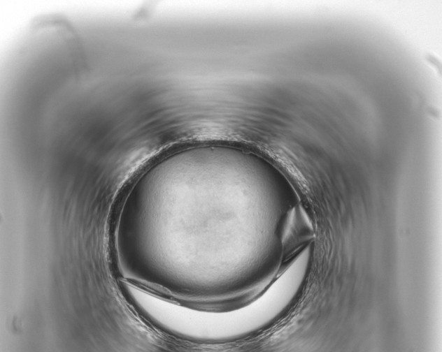 X0000093770391200710301210