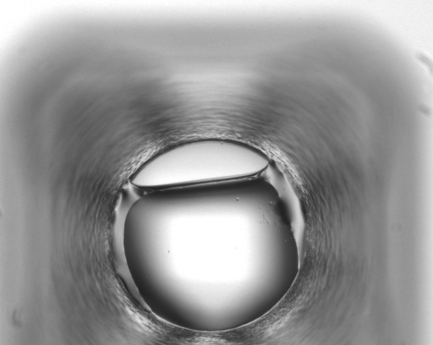 X0000093770393200710301210