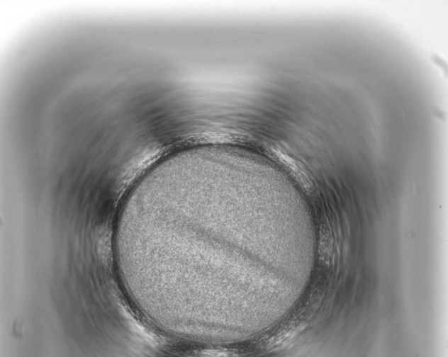 X0000093770394200710301210