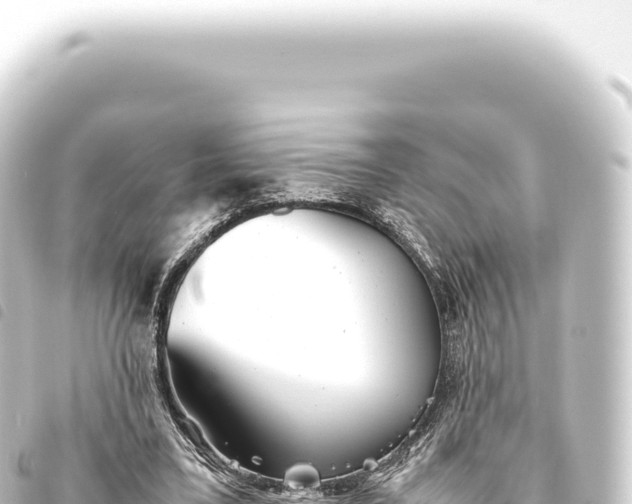 X0000093770395200710301210