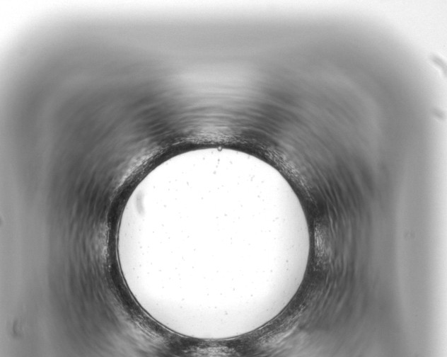 X0000093770396200710301210