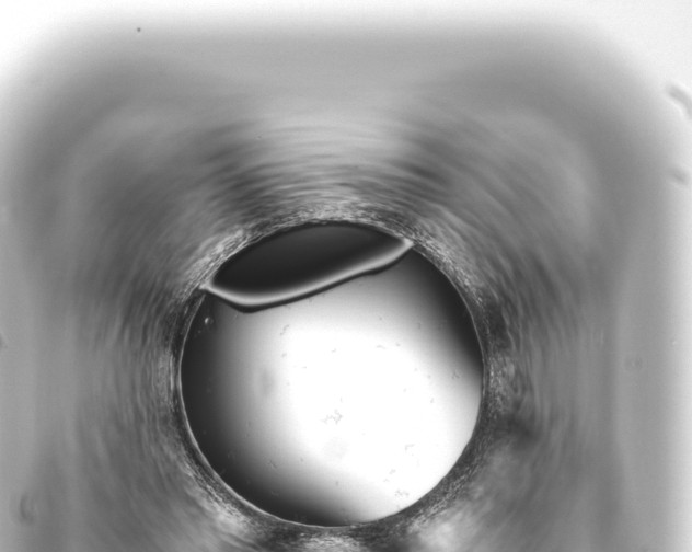 X0000093770397200710301210