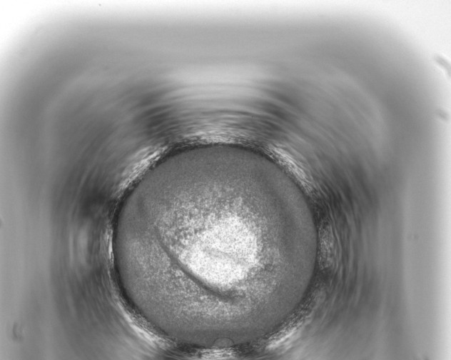 X0000093770398200710301210