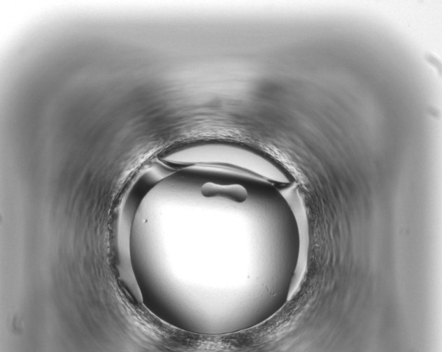 X0000093770399200710301210