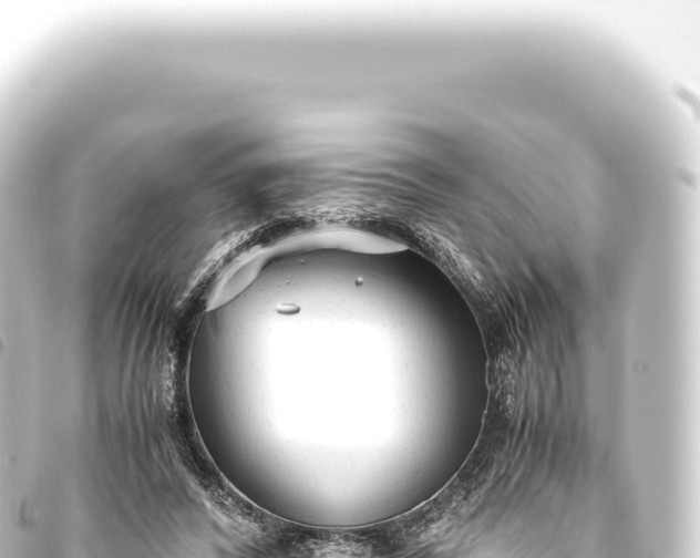 X0000093770400200710301210