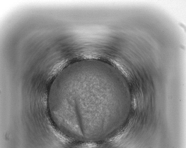 X0000093770402200710301210