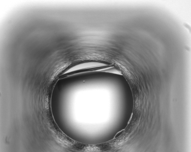 X0000093770403200710301210