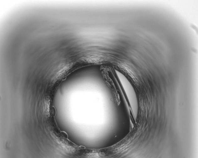 X0000093770404200710301210