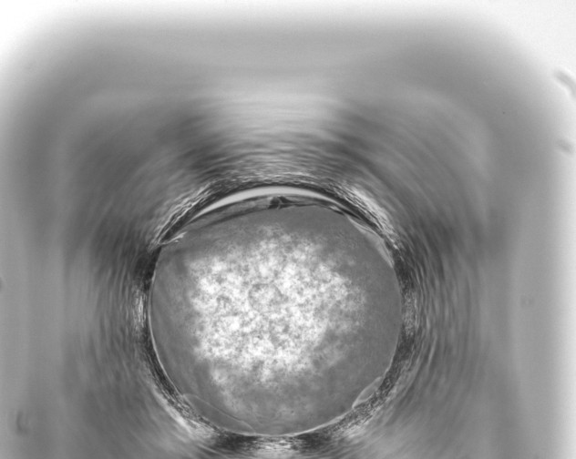 X0000093770405200710301210