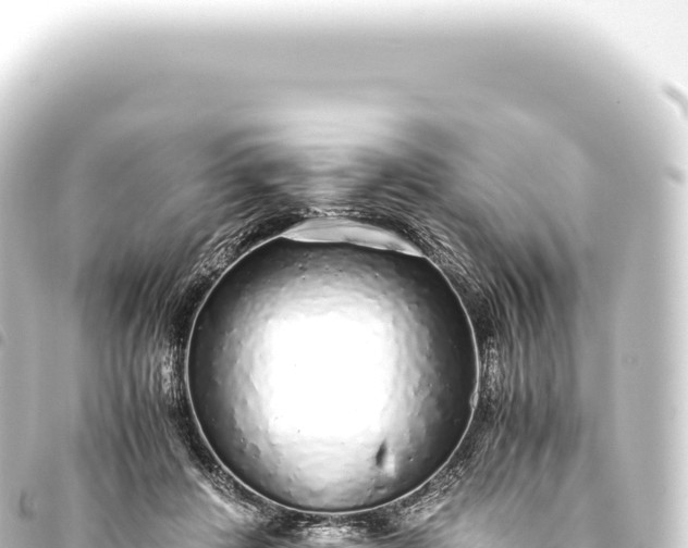 X0000093770408200710301210