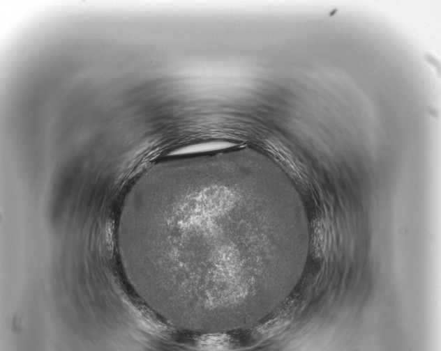 X0000093770410200710301210