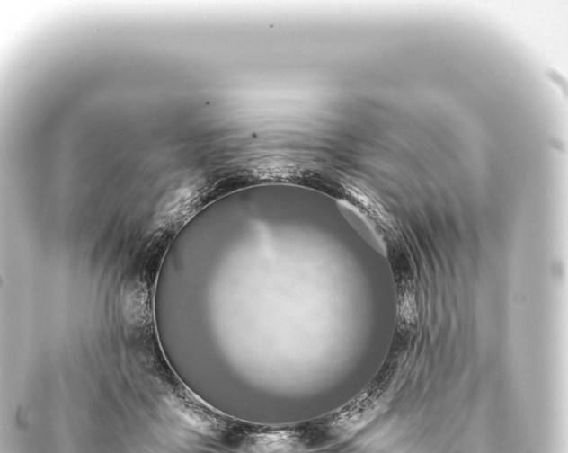 X0000093770411200710301210