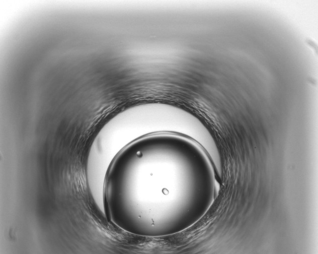 X0000093770412200710301210