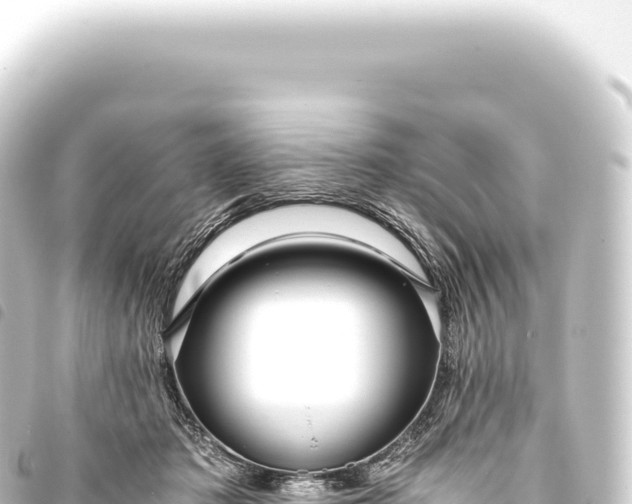 X0000093770413200710301209