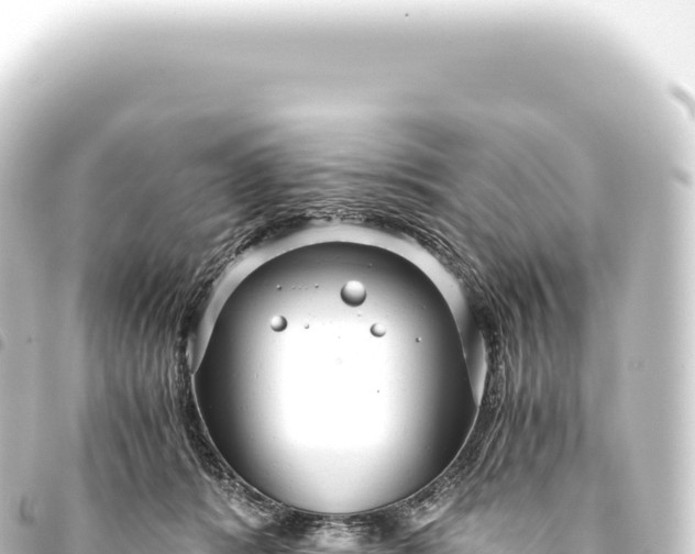 X0000093770416200710301209