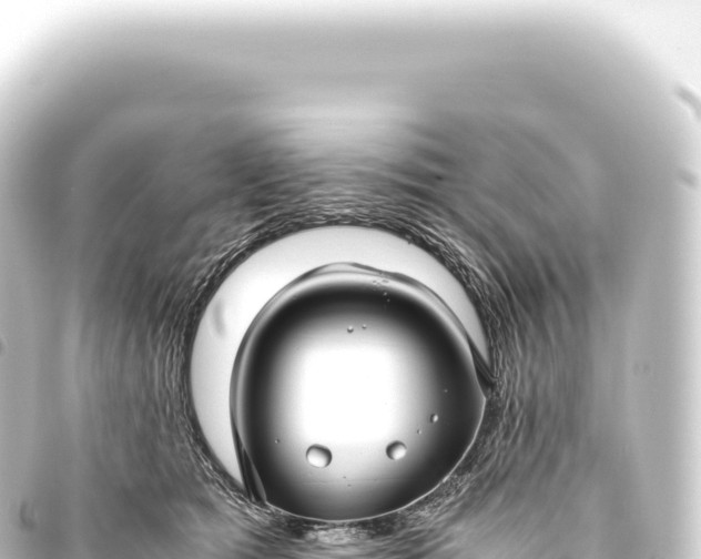 X0000093770417200710301209