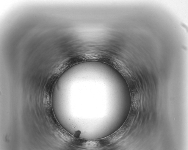 X0000093770418200710301209