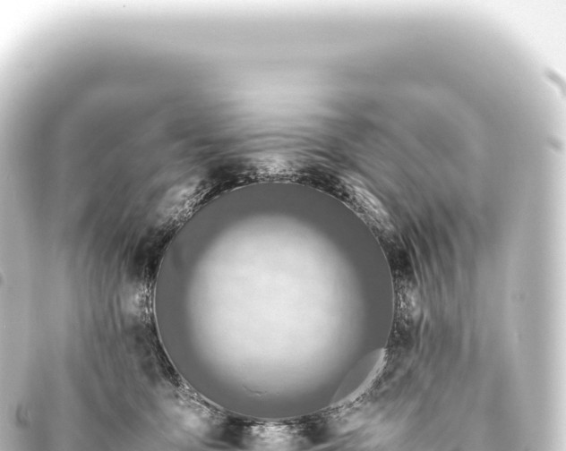 X0000093770419200710301209