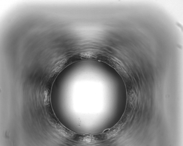 X0000093770420200710301209