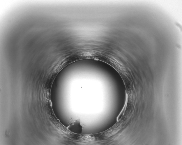 X0000093770421200710301209