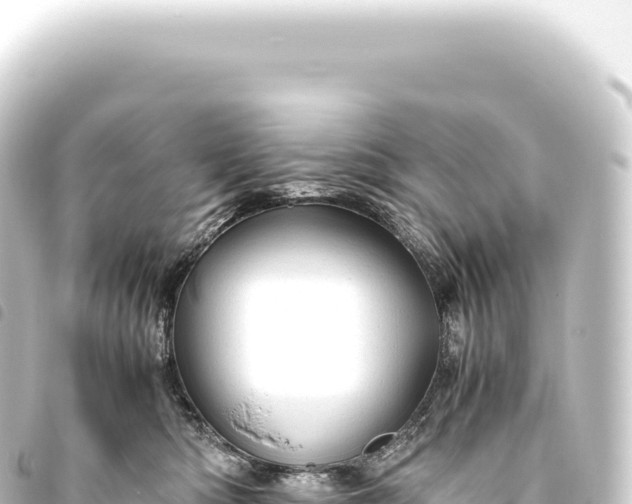 X0000093770422200710301209