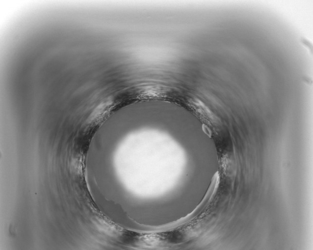 X0000093770423200710301209