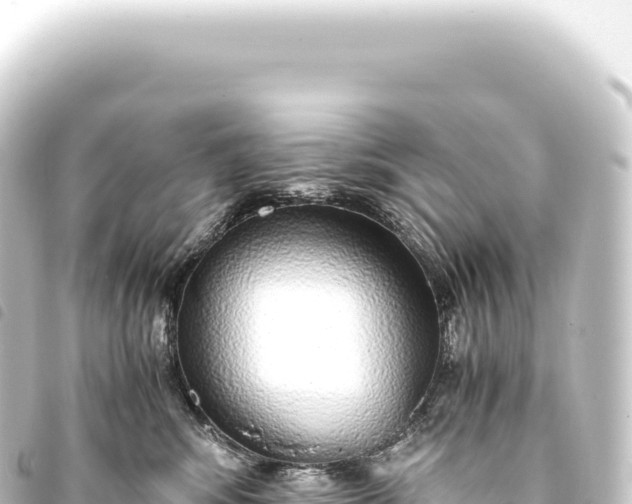 X0000093770424200710301209