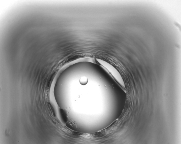 X0000093770425200710301209