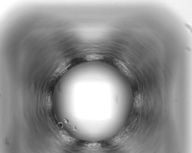 X0000093770426200710301209