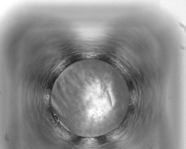 X0000093770427200710301209