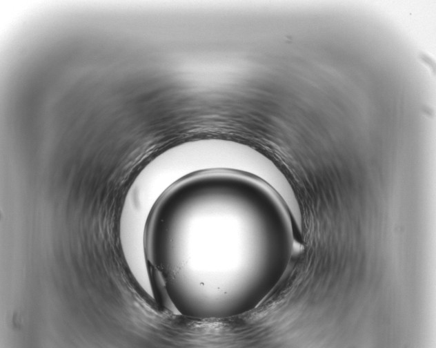 X0000093770428200710301209