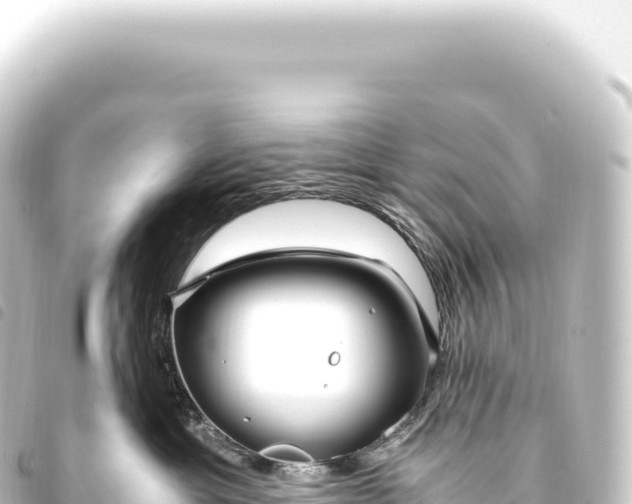 X0000093770429200710301209