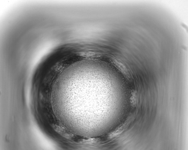 X0000093770430200710301209