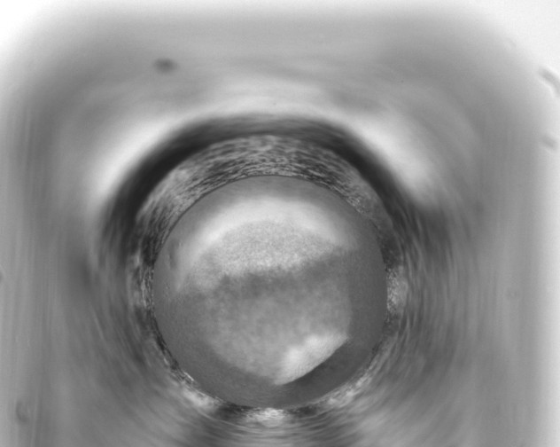 X0000093770431200710301209