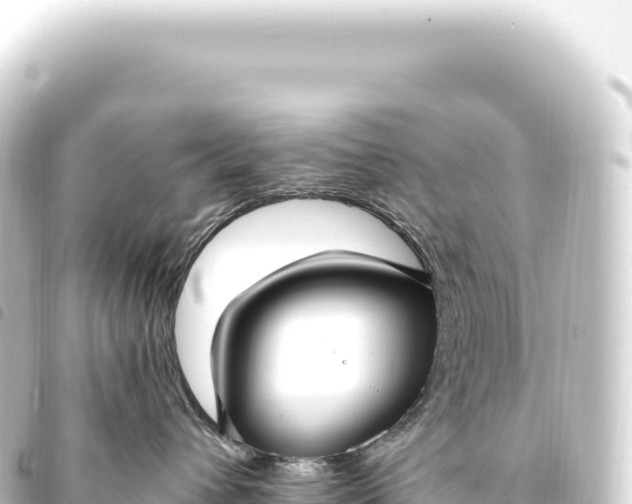 X0000093770432200710301209