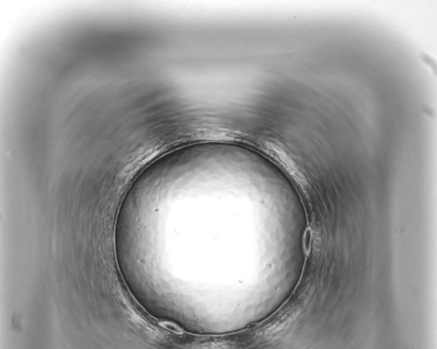 X0000093770433200710301209