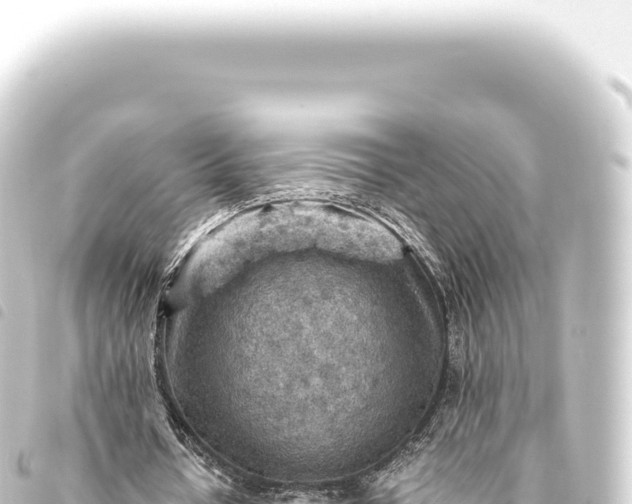 X0000093770434200710301209