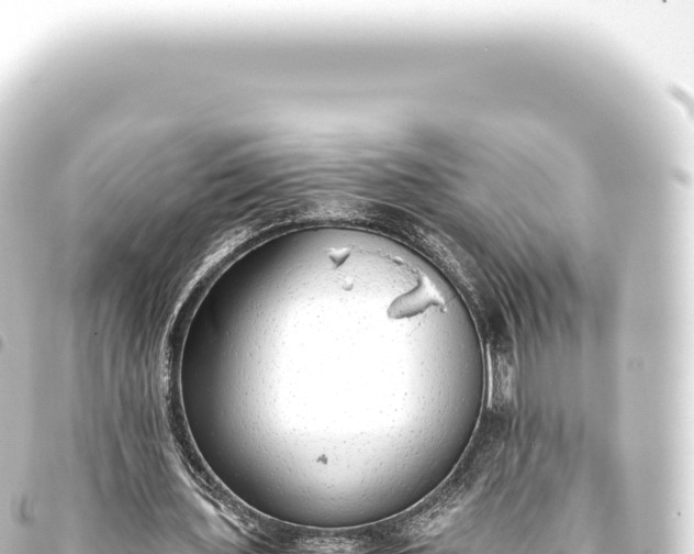 X0000093770435200710301209