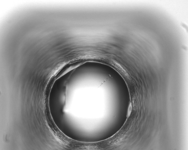 X0000093770436200710301209