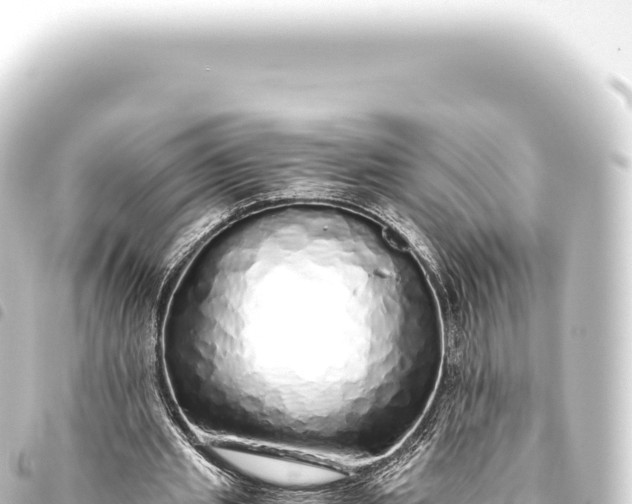 X0000093770437200710301209