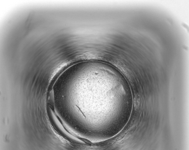 X0000093770438200710301209