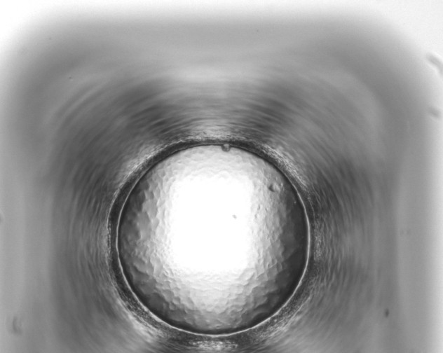 X0000093770439200710301209