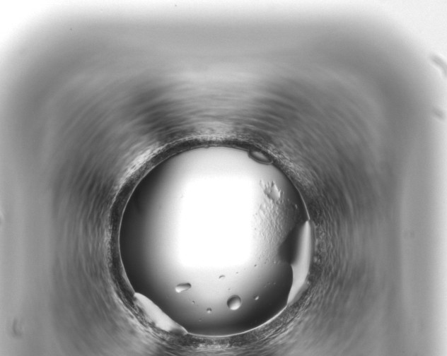 X0000093770440200710301209