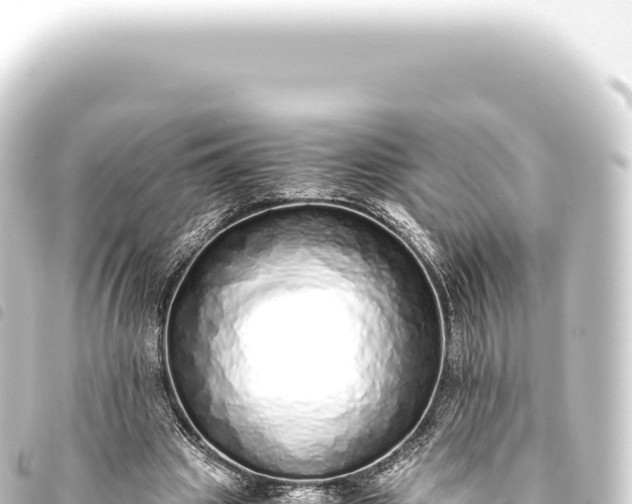 X0000093770441200710301209