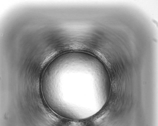 X0000093770442200710301209