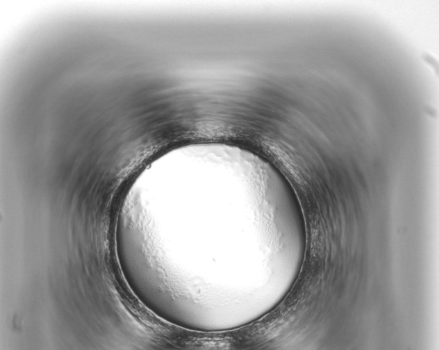 X0000093770443200710301209