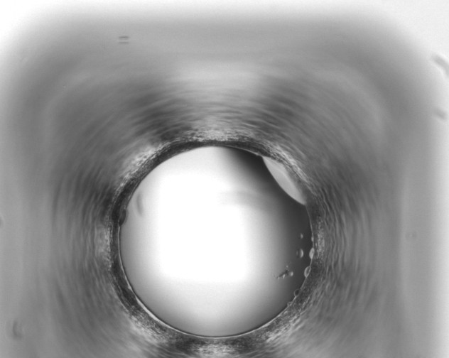 X0000093770444200710301209